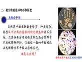 人教版高中生物选择性必修3 1-2-2微生物的选择培养和计数课件