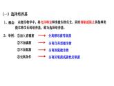 人教版高中生物选择性必修3 1-2-2微生物的选择培养和计数课件