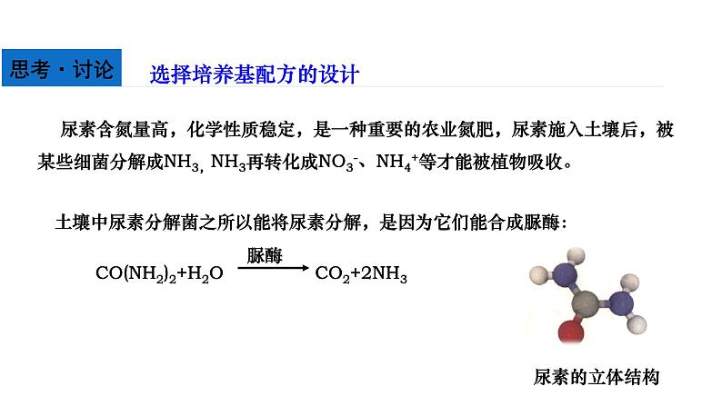 人教版高中生物选择性必修3 1-2-2微生物的选择培养和计数课件06