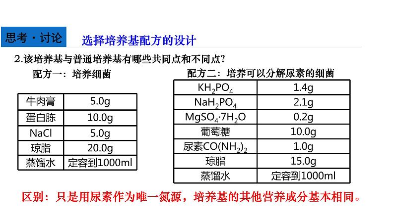 人教版高中生物选择性必修3 1-2-2微生物的选择培养和计数课件08