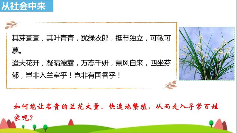 人教版高中生物选择性必修3 2-1-1植物细胞工程的基本技术课件第2页