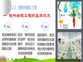 人教版高中生物选择性必修3 2-1-1植物细胞工程的基本技术课件