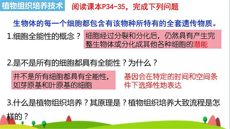 人教版高中生物选择性必修3 2-1-1植物细胞工程的基本技术课件第4页