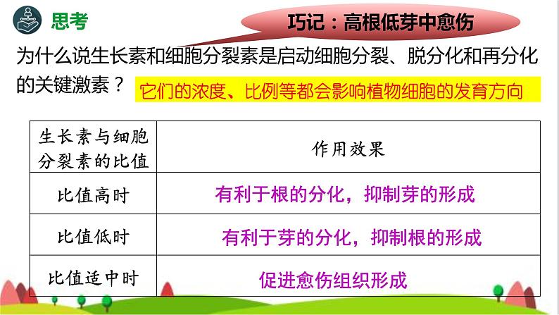 人教版高中生物选择性必修3 2-1-1植物细胞工程的基本技术课件第7页