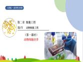 人教版高中生物選擇性必修3 2-2-1動物細胞培養(yǎng)課件