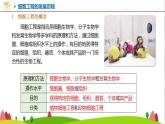 人教版高中生物選擇性必修3 2-2-1動物細胞培養(yǎng)課件