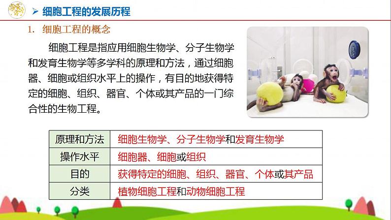 人教版高中生物选择性必修3 2-2-1动物细胞培养课件02