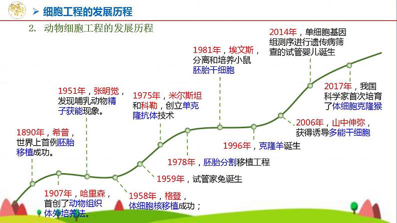 人教版高中生物选择性必修3 2-2-1动物细胞培养课件03