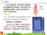 人教版高中生物選擇性必修3 2-2-1動物細胞培養(yǎng)課件