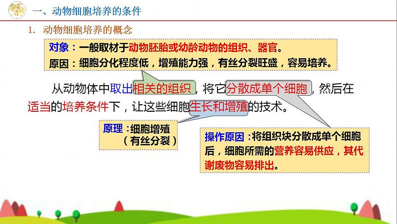 人教版高中生物选择性必修3 2-2-1动物细胞培养课件07