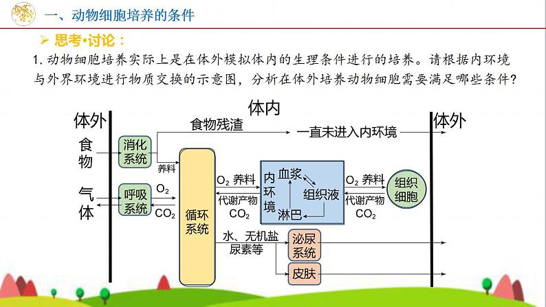 人教版高中生物选择性必修3 2-2-1动物细胞培养课件08