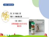 人教版高中生物选择性必修3 2-2-2动物细胞融合技术与单克隆抗体课件