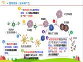 人教版高中生物选择性必修3 2-2-2动物细胞融合技术与单克隆抗体课件
