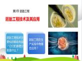 人教版高中生物選擇性必修3 2-3-2胚胎工程技術(shù)及其應(yīng)用課件
