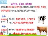 人教版高中生物選擇性必修3 2-3-2胚胎工程技術(shù)及其應(yīng)用課件