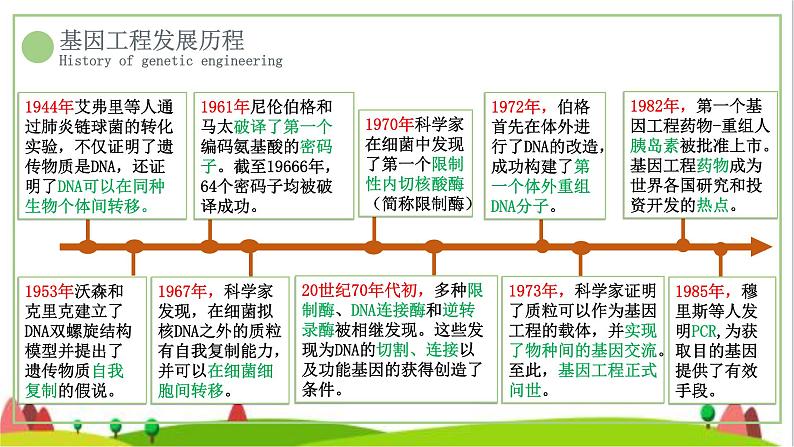 人教版高中生物选择性必修3 3-1重组DNA技术的基本工具课件1第2页