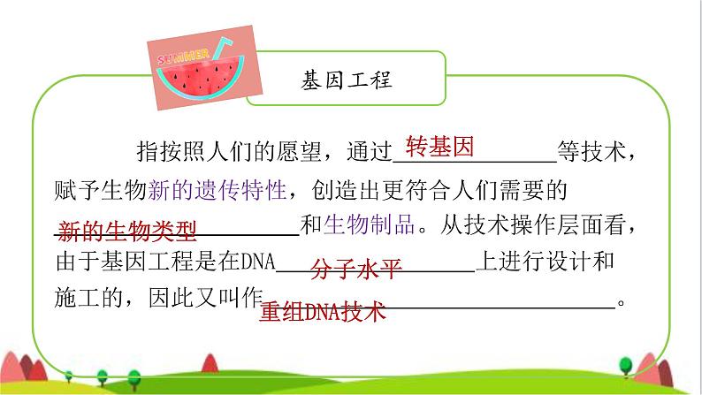 人教版高中生物选择性必修3 3-1重组DNA技术的基本工具课件1第3页