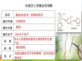 人教版高中生物选择性必修3 3-1重组DNA技术的基本工具课件1