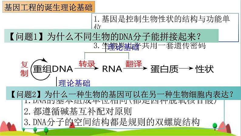 人教版高中生物选择性必修3 3-1重组DNA技术的基本工具课件1第5页
