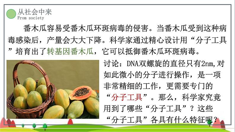 人教版高中生物选择性必修3 3-1重组DNA技术的基本工具课件1第6页