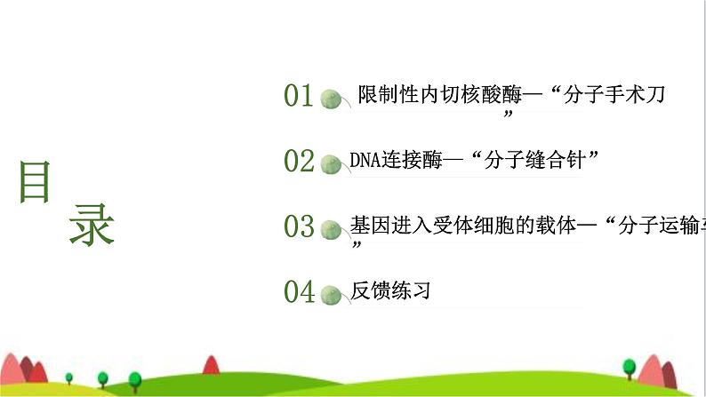 人教版高中生物选择性必修3 3-1重组DNA技术的基本工具课件1第8页