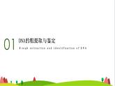 人教版高中生物选择性必修3 3-1重组DNA技术的基本工具课件2