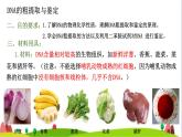 人教版高中生物选择性必修3 3-1重组DNA技术的基本工具课件2