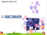 人教版高中生物选择性必修3 3-3基因工程的应用课件
