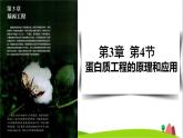 人教版高中生物选择性必修3 3-4蛋白质工程的原理和应用课件