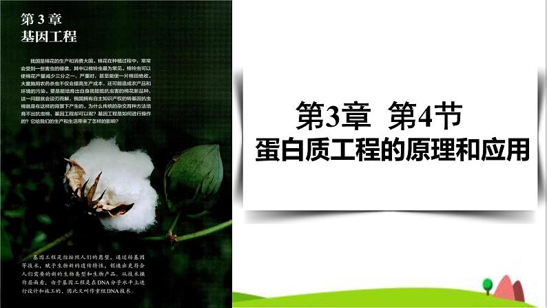 人教版高中生物选择性必修3 3-4蛋白质工程的原理和应用课件01