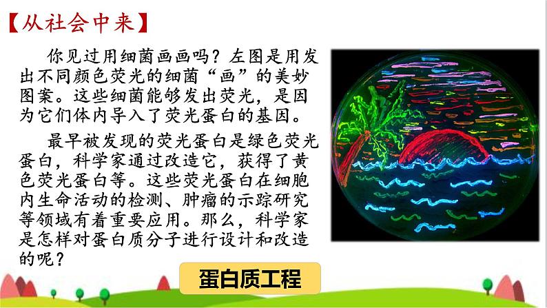 人教版高中生物选择性必修3 3-4蛋白质工程的原理和应用课件02