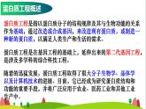 人教版高中生物选择性必修3 3-4蛋白质工程的原理和应用课件