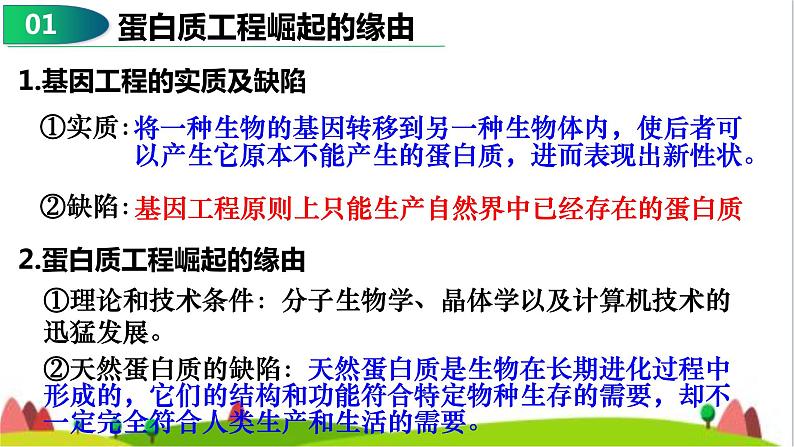 人教版高中生物选择性必修3 3-4蛋白质工程的原理和应用课件04