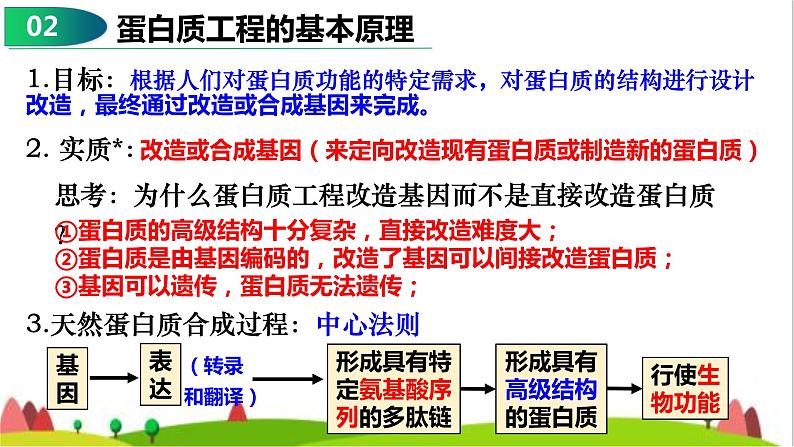 人教版高中生物选择性必修3 3-4蛋白质工程的原理和应用课件06