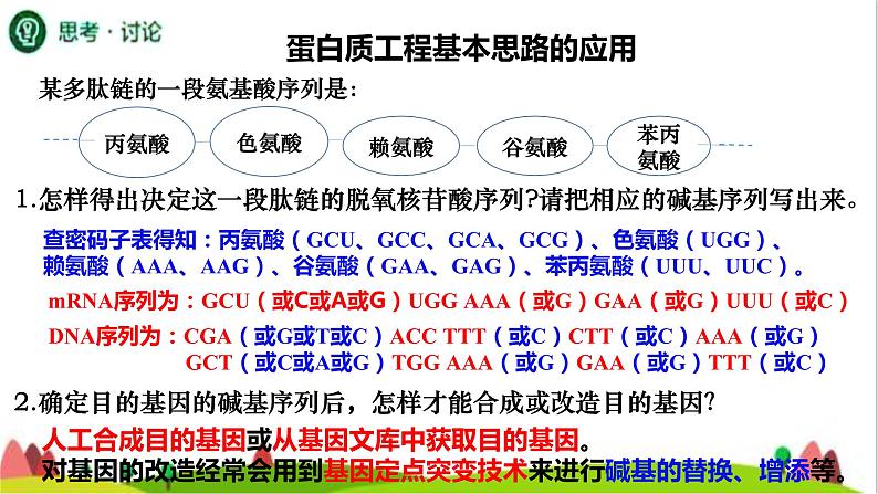 人教版高中生物选择性必修3 3-4蛋白质工程的原理和应用课件08