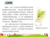 人教版高中生物选择性必修3 4-1转基因产品的安全性课件