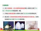 人教版高中生物选择性必修3 4-1转基因产品的安全性课件