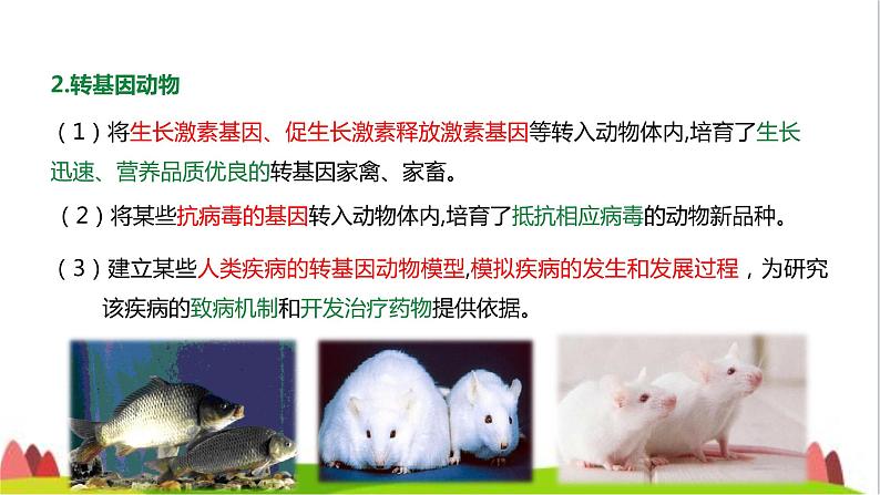 人教版高中生物选择性必修3 4-1转基因产品的安全性课件05