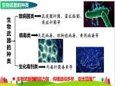 人教版高中生物选择性必修3 4-3禁止生物武器课件