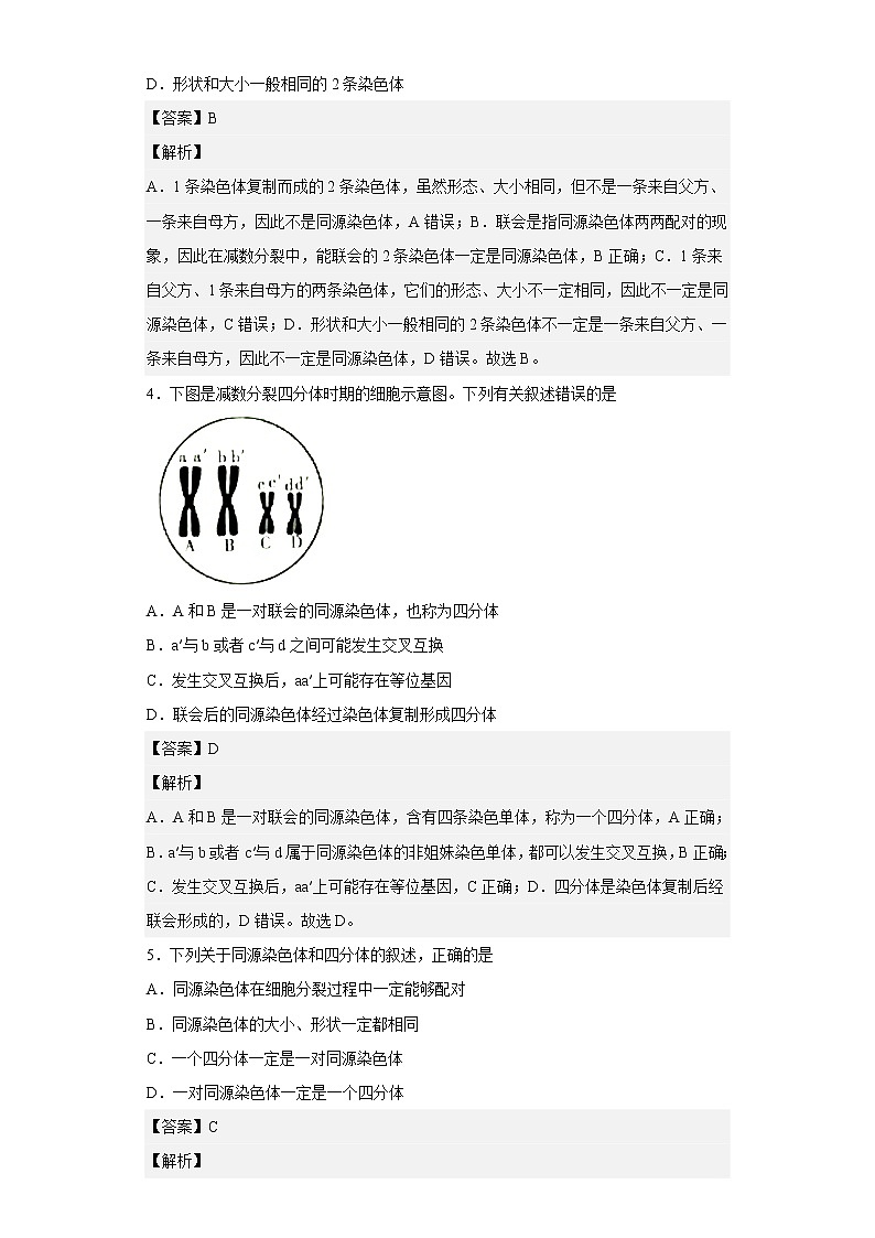 人教版高中生物必修2减数分裂作业含答案第2页