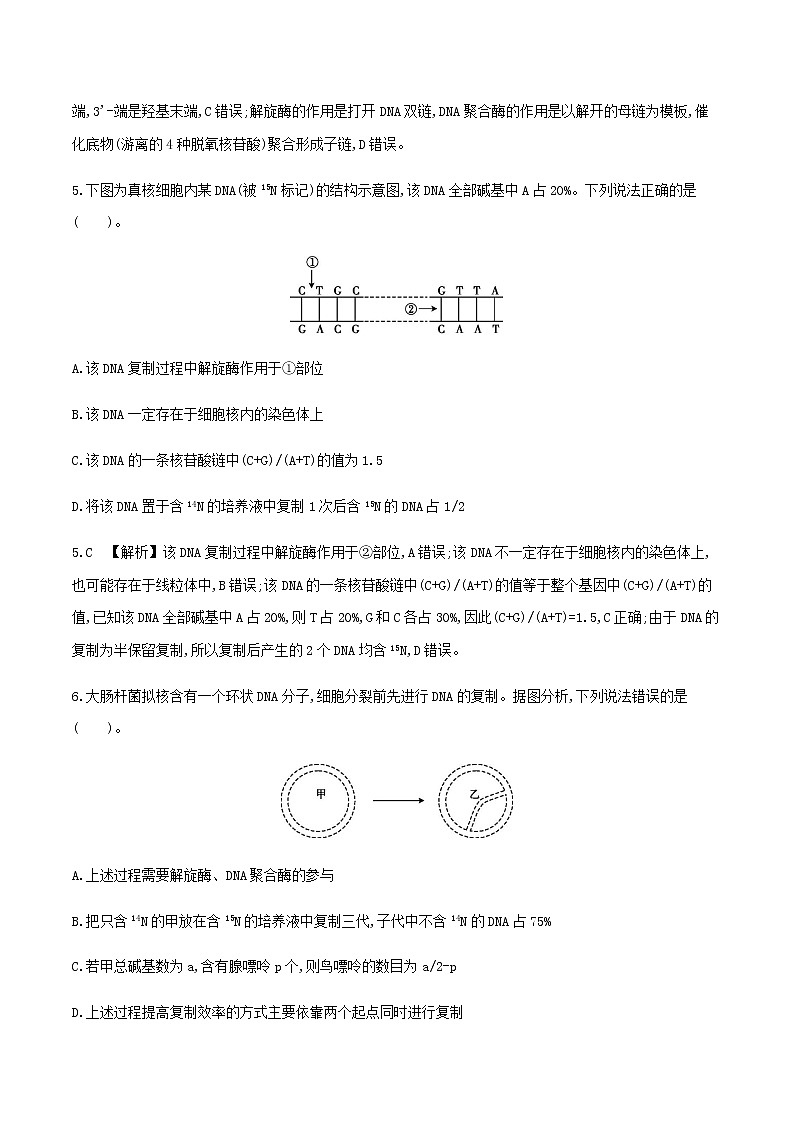 人教版高中生物必修2DNA的复制作业含答案第3页