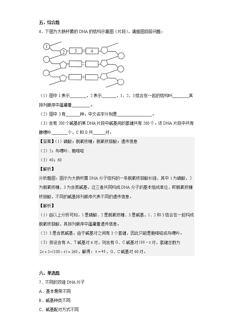 人教版高中生物必修2DNA的结构作业含答案03