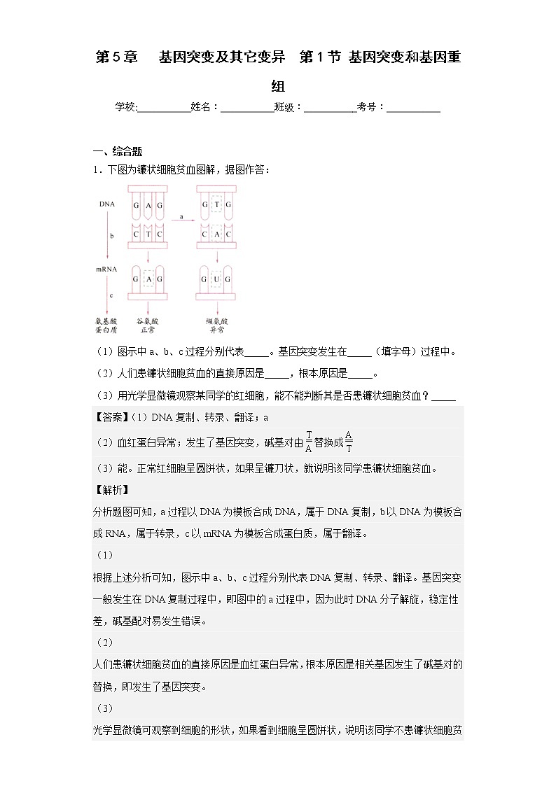 人教版高中生物必修2基因突变和基因重组作业含答案第1页