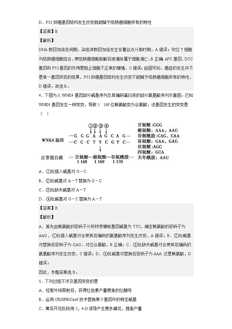 人教版高中生物必修2基因突变和基因重组作业含答案第3页