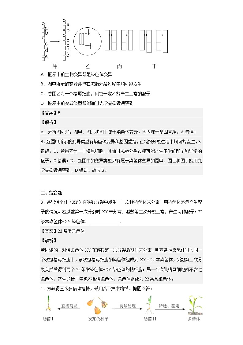 人教版高中生物必修2染色体变异作业含答案第2页