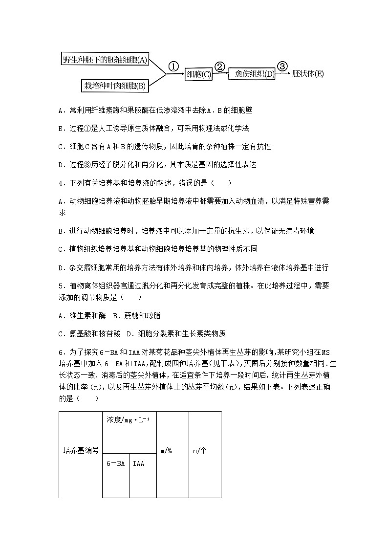 浙科版高中生物选择性必修3第一节通过植物组织培养可获得完整植株作业3含答案02
