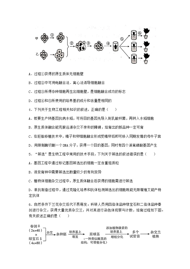 浙科版高中生物选择性必修3第一节通过植物组织培养可获得完整植株作业4含答案第2页