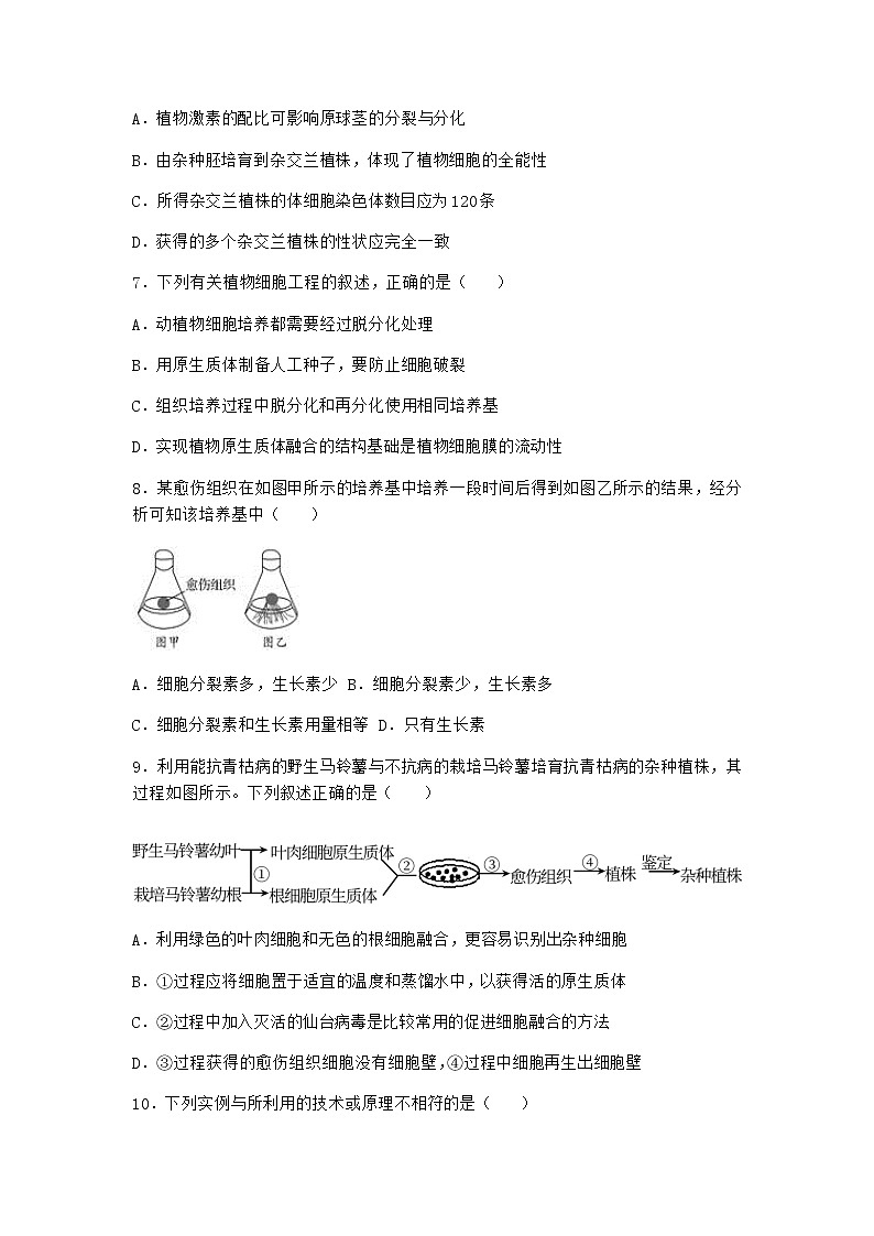 浙科版高中生物选择性必修3第一节通过植物组织培养可获得完整植株作业4含答案第3页