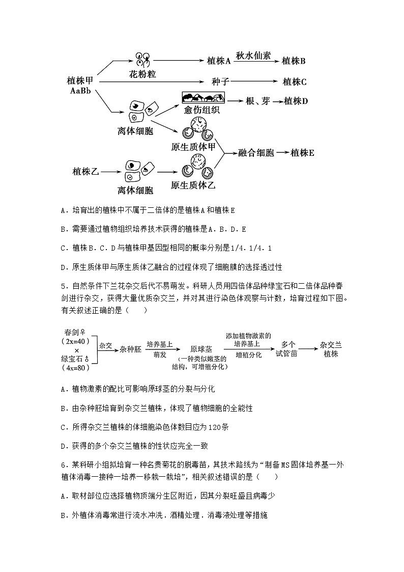 浙科版高中生物选择性必修3第一节通过植物组织培养可获得完整植株同步作业2含答案第2页
