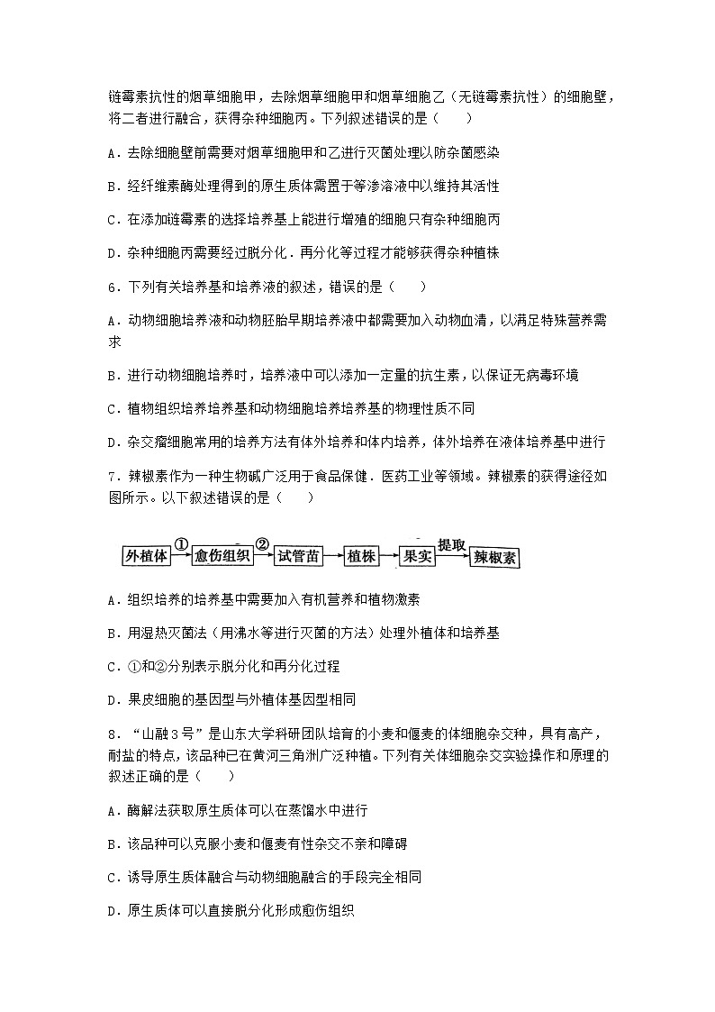 浙科版高中生物选择性必修3第一节通过植物组织培养可获得完整植株同步作业3含答案02